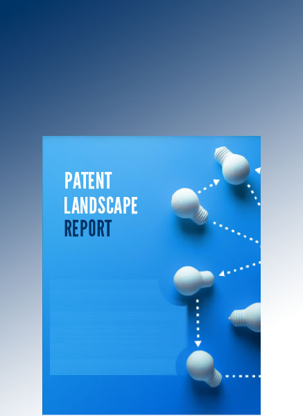 Patent Landscape Report