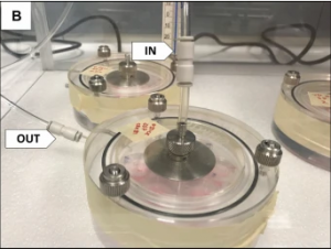 Scientific setting testing of cells in round glass containers.