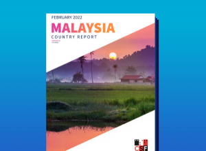 Country Report Cover with a landscape of grass and trees with a sunset in the background.