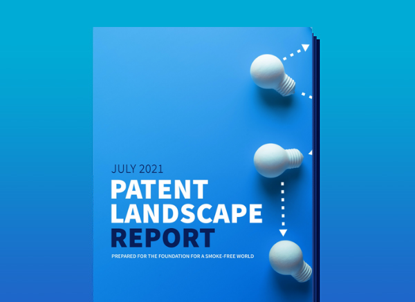 Patent landscape report cover with three light bulbs