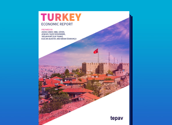 Turkey Economic Report